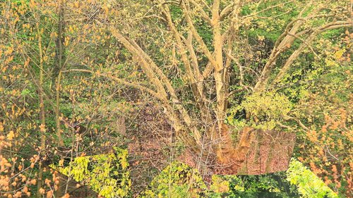 2014-liquidgreen4.jpg