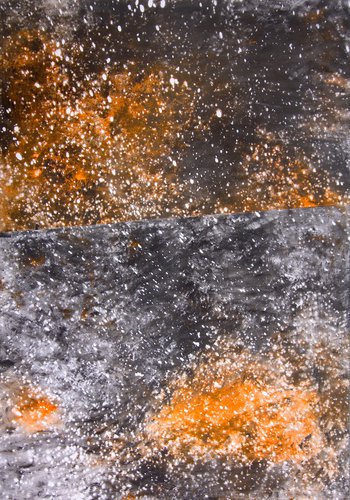 2016-all-orange.jpg