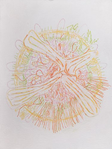 adrianewachholz-digginlight2023-25